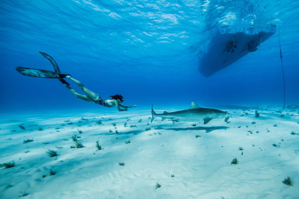 ‘Do I Need to Know How to Swim to Scuba Dive’ and Other Frequently Asked Questions